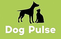 Услуги ветеринарной клиники Dog Pluse